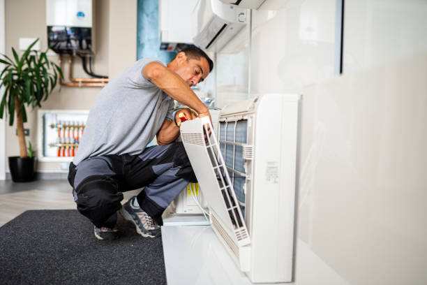 Best Air Duct Mold Removal  in Glennville, GA