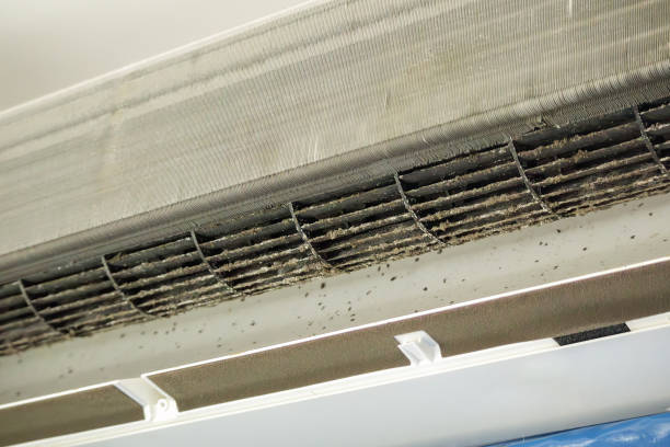 Best HVAC Air Duct Cleaning  in Glennville, GA